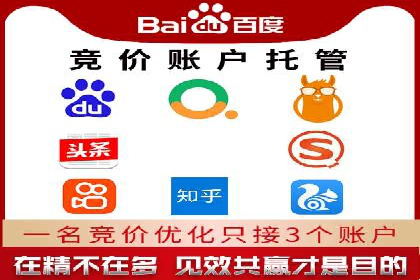 百度竞价推广运营实战技巧与经典案例剖析